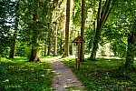 30-DSC09277_kert