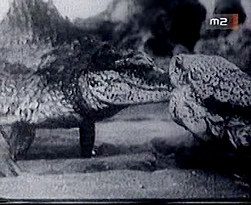 Az �jszaka k�pei (1966)